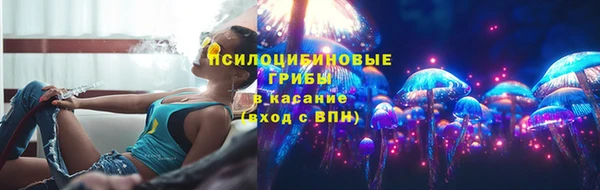 крисы Армянск