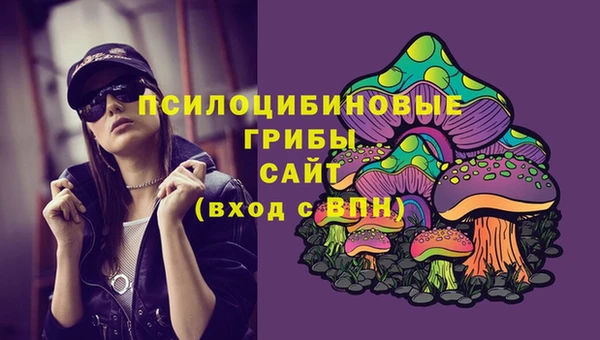 прущие грибы Алексеевка