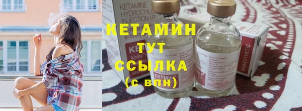 крисы Армянск