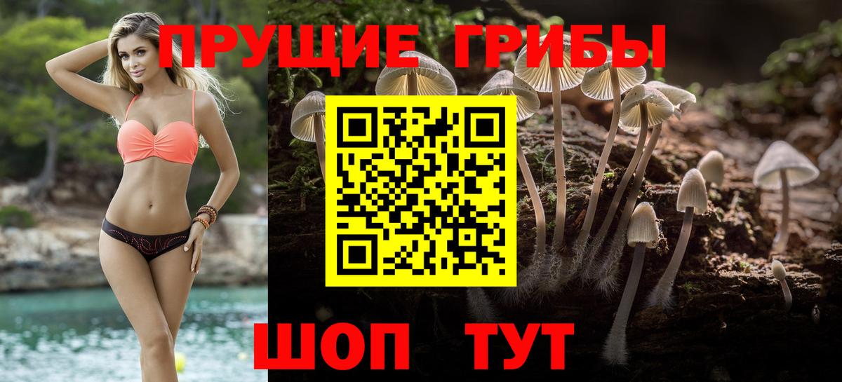Галлюциногенные грибы прущие грибы  Вход с VPN  Коломна 